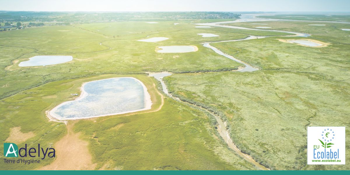 adopter une hygiène professionnelle respectueuse de l'environnement